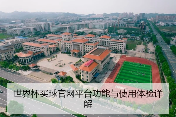 世界杯买球官网平台功能与使用体验详解