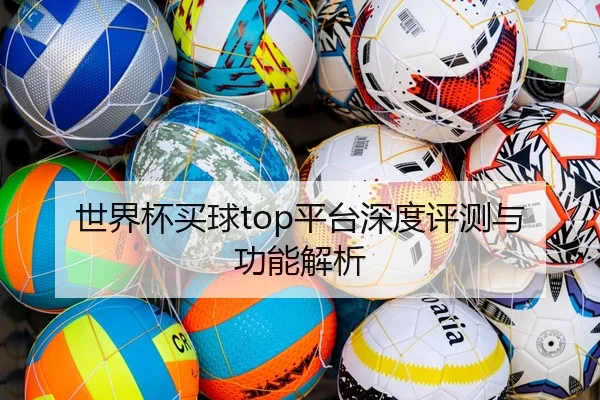 世界杯买球top平台深度评测与功能解析