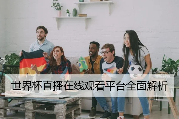世界杯直播在线观看平台全面解析