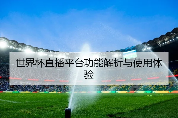 世界杯直播平台功能解析与使用体验