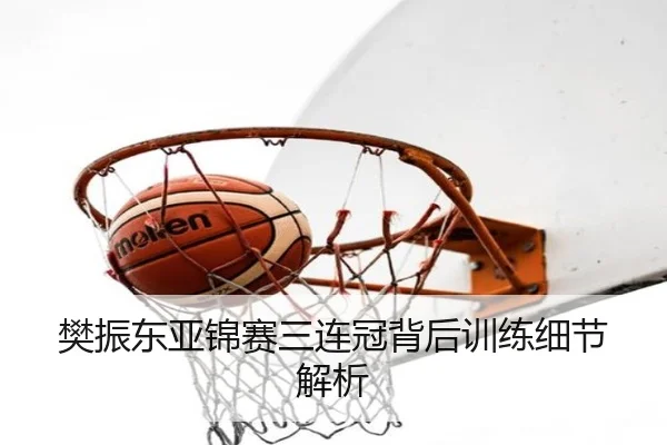 樊振东亚锦赛三连冠背后训练细节解析
