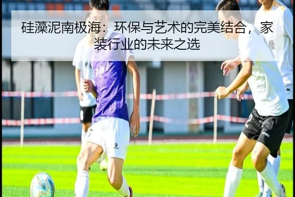 硅藻泥南极海：环保与艺术的完美结合，家装行业的未来之选