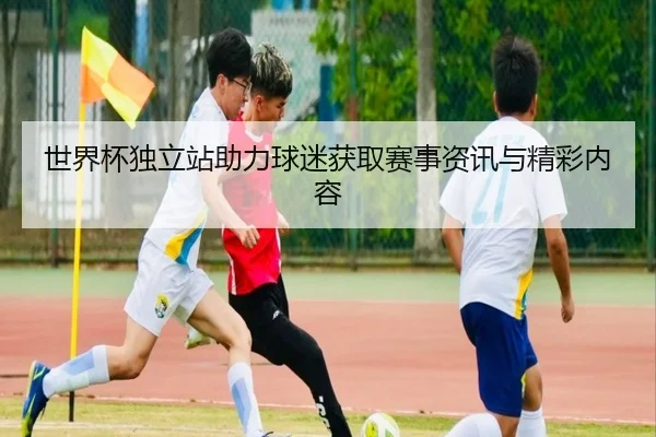 世界杯独立站助力球迷获取赛事资讯与精彩内容