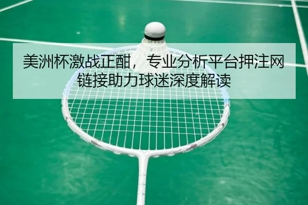 美洲杯激战正酣，专业分析平台押注网链接助力球迷深度解读